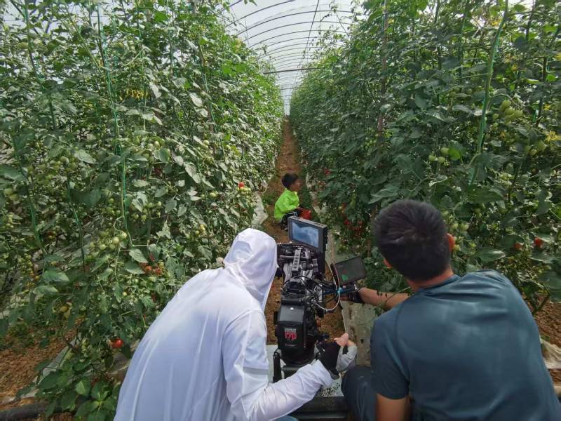 平房区产品宣传视频拍摄公司进阶指南，助力品牌抢占传播高地